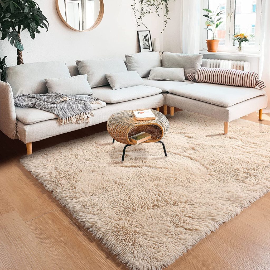 Living Room Rug Trends 2022