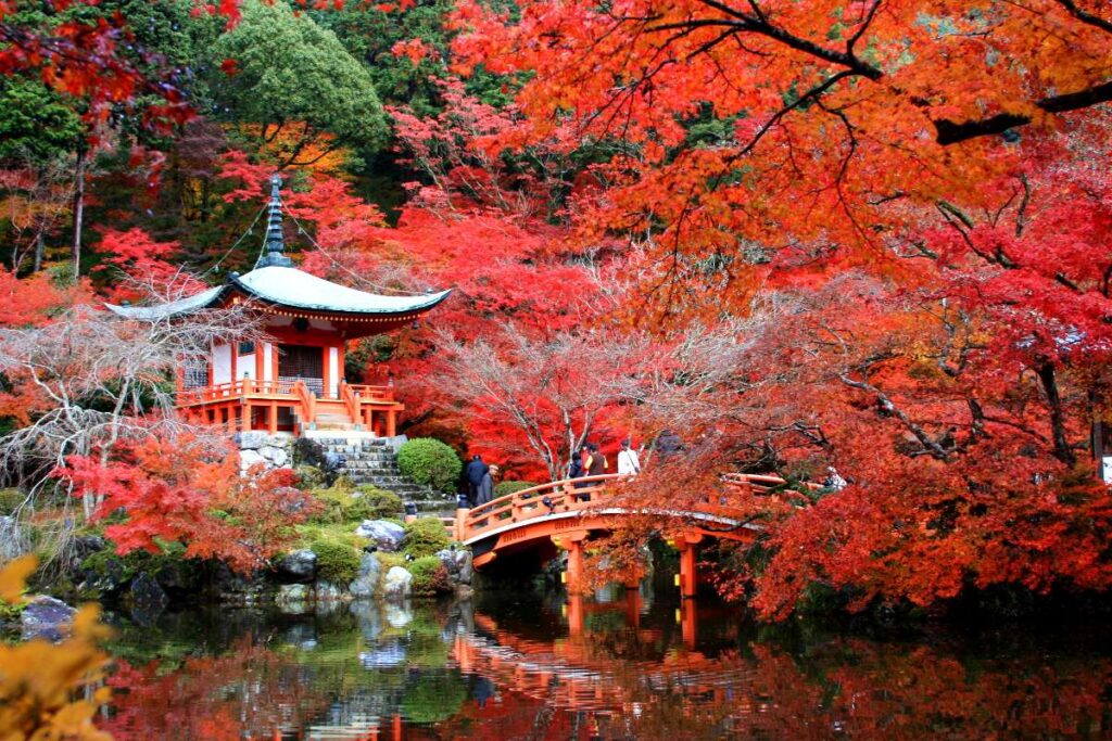 Top Destinations To Enjoy Fall