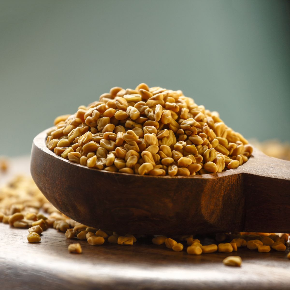 The Properties Of Fenugreek