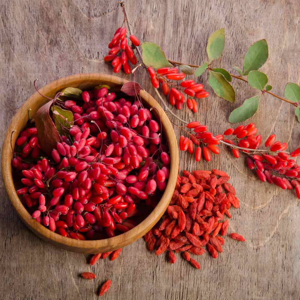 The Benefits Of Goji Berries