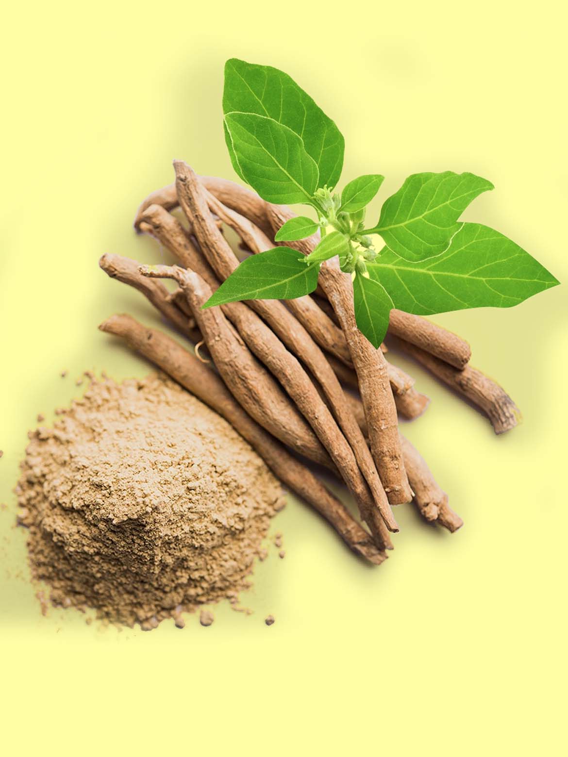 The Effects Of Ashwagandha On Stress Aand Anxiety