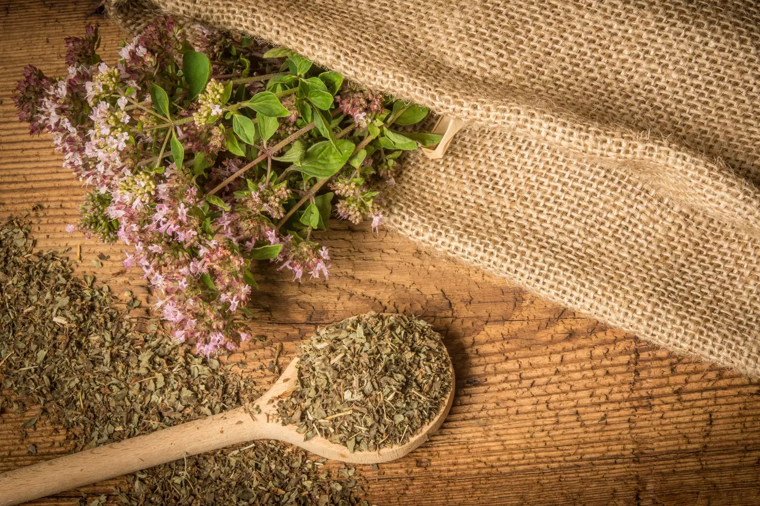 The Benefits Of Oregano