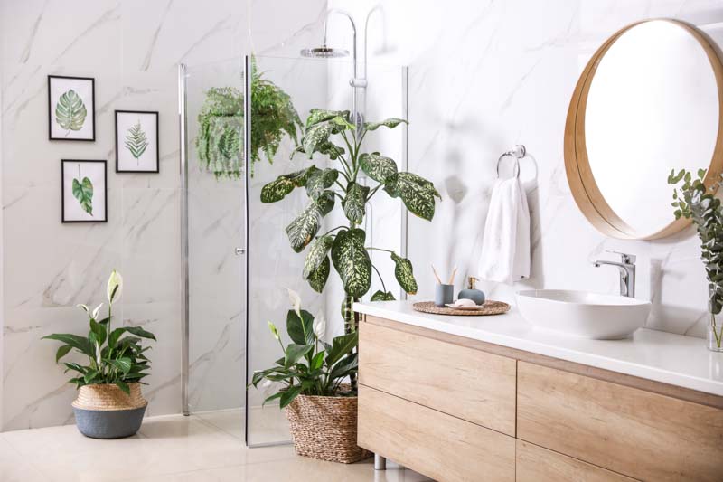 The Best Indoor Plants For The Bathroom